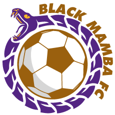 Black Mamba FC